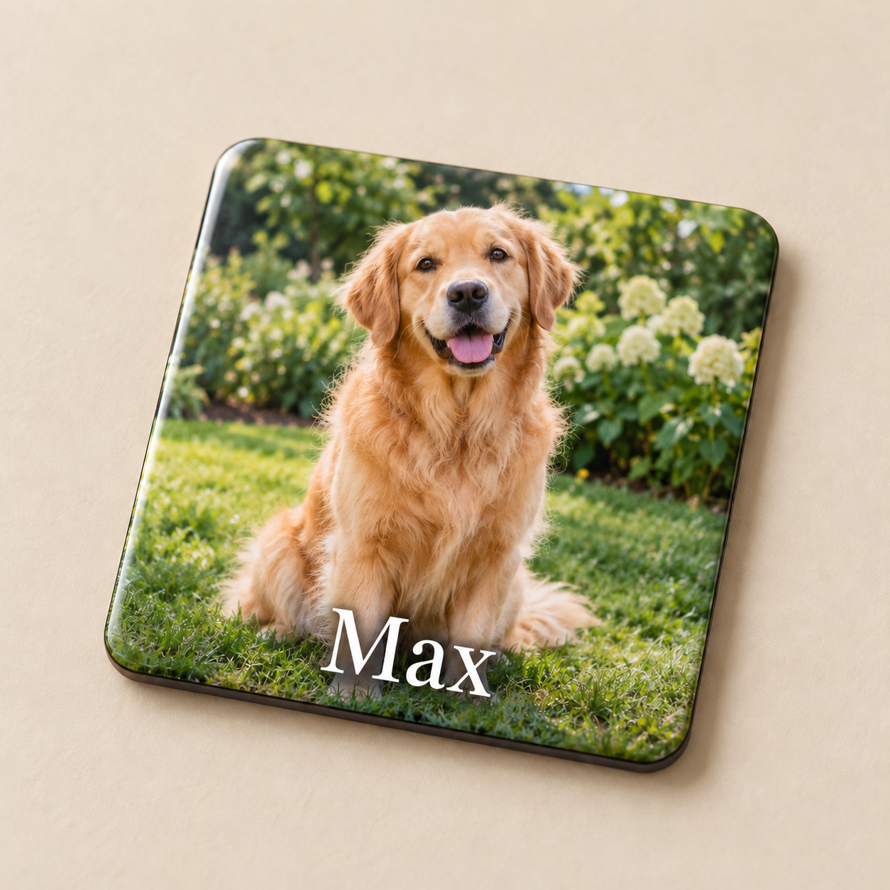 Íman personalizado com Max-2